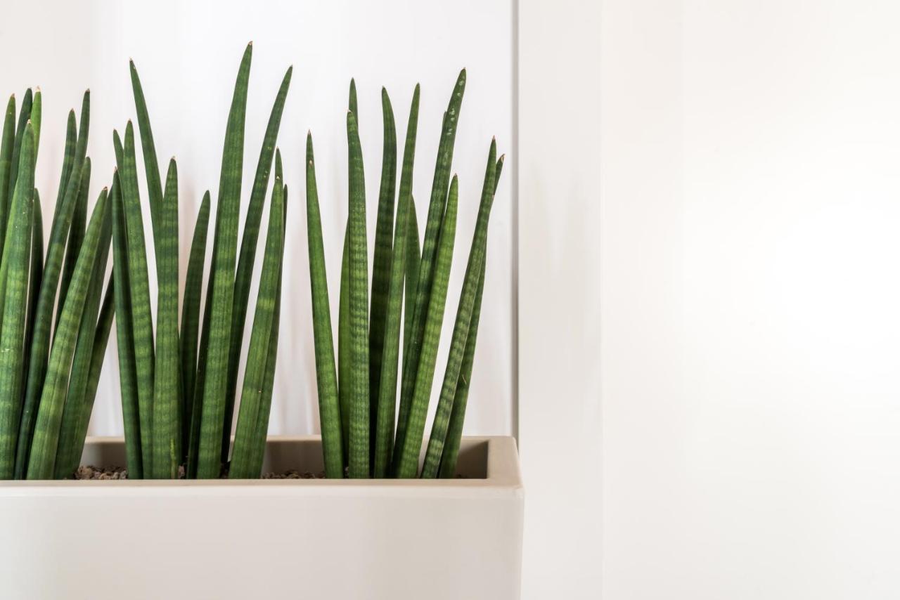 Guest house Aura - Iblea Ragusa